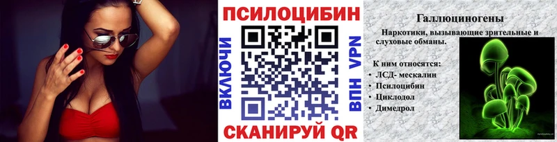 Псилоцибиновые грибы Psilocybine cubensis  Ржев 